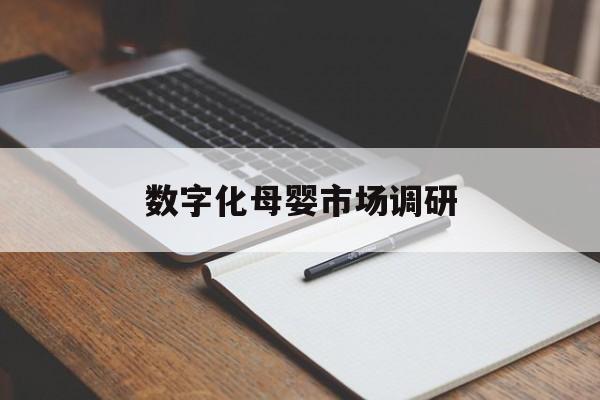 三明市数字化母婴市场调研(数字化母婴市场调研报告)